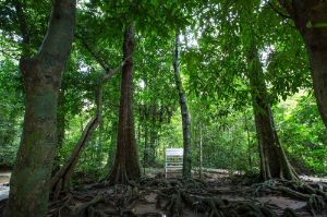 Zheng Bo, LIFE IS HARD. WHY DO WE MAKE IT SO EASY?, 2018. Beauftragt von der Thailand Biennale, Krabi, und unterstützt vom Hong Kong Arts Development Council. Foto: Abdulromae Taleh