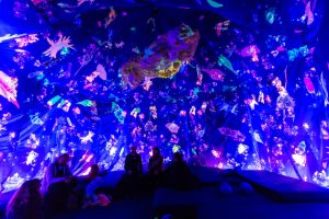 Eine Installationsansicht, auf welcher Menschen zu sehen sind, die in einer Art dunkelblauem Zelt sitzen. An der Decke hängt ein fluoreszierendes Meereswesen. Zudem ist der Stoff des Zeltes mit bunten, fluoreszierenden Meerestieren bedruckt.