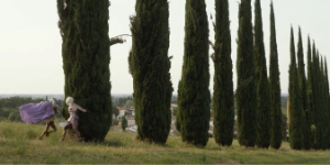 Two people in magnificent clothing are walking in front of a row of cypress trees.