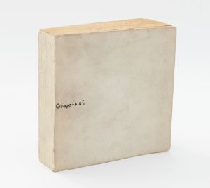Foto von einem weiß-vergilbten Buch, auf dem klein "Grapefruit" in schwarzer Schrift steht.