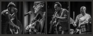 Ribot Quartet