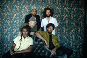 Irreversible Entanglements