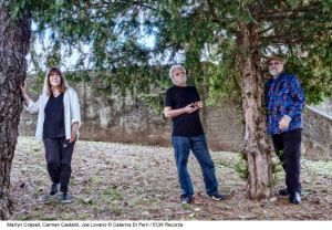 Foto von Joe Lovano Trio Tapestry