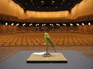 Sparkie © Kai Bienert