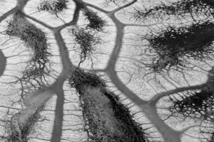 Luftaufnahme der natürlichen Formen und Texturen eines Sees, aufgenommen mit einer Drone