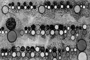 An early form of graphic notation from Egypt (excerpt)