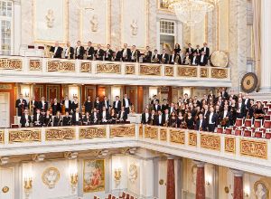 Konzerthausorchester Berlin © Marco Borggreve