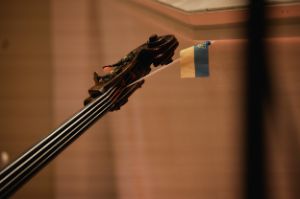 A Ukrainian flag stuck in the pegbox of a string instrument.