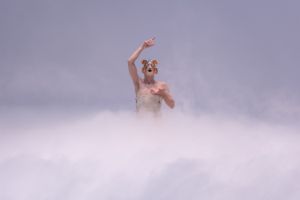 Steven Cohen is in the midst of stage fog.