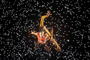 Compagnie Käfig © Laurent Philippe