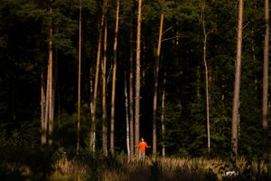 A person stands in a clearing in front of tall pine trunks. She wears a bright red jumper and stretches out her arms.