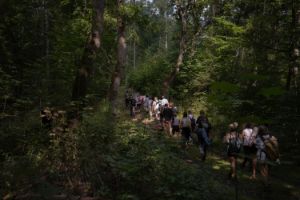 Several people are walking through a forest. Rays of sunlight fall through treetops.