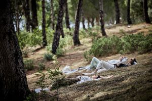 Drei Personen liegen mit dem Rücken auf dem Waldboden. Sie tragen Kopfhörer. Im Hintergrund sind Nadelbäume.
