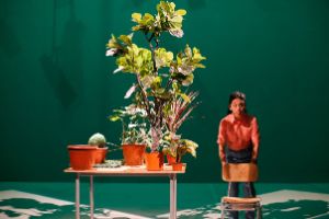 Estado Vegetal © Fundación Teatro a Mil