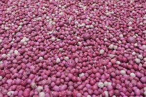 A close-up of pink granules