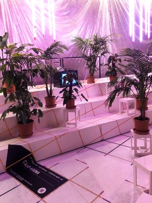 Plants stand on a white sheathed stair-like structure.