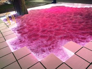 Pink granules lie in a kind of enclosure reminiscent of a pool.