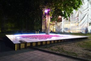 Pink granules lie in a kind of enclosure reminiscent of a pool.