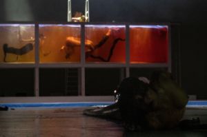 Two women with fish tails swim in a water tank. A naked woman lies on the floor in front of the tank.