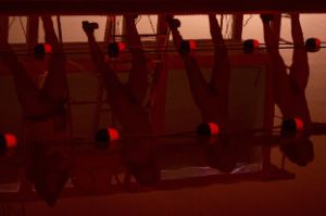 The bodies of four women are reflected on a water surface.