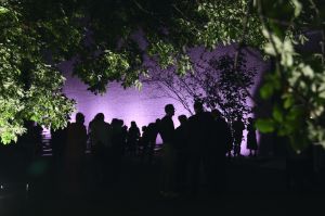 The audience is gathering in the middle of trees in front of the purple illuminated outer wall of the Berliner Festspiele.