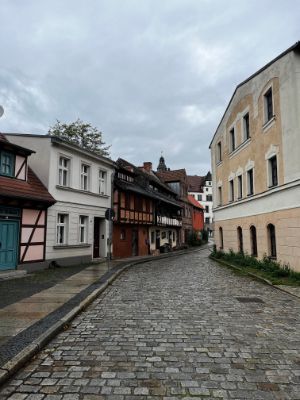 An atmospheric narrow street with cobblestones leads past single-storey buildings of different architectural styles