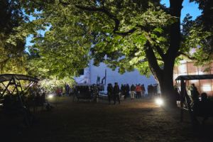 Ein Garten mit einem großen Baum, Bierbänken, Hollywoodschaukeln und vielen Menschen im Abendlicht 