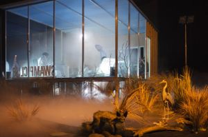 Swamp Club, © Martin Argyroglo