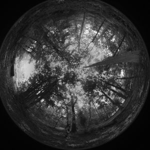 Metahaven: „Elektra“