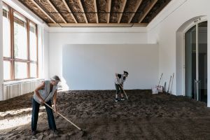 Asad Raza: Absorption