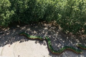 Anne Duk Hee Jordan: Into the Wild. An Edible Sculpture