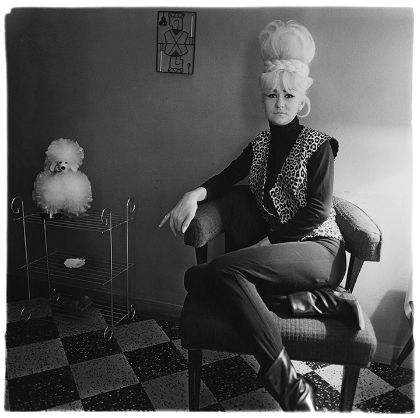 Eine Person sitzt auf einem Stuhl und hat die Beine übereinander geschlagen. Neben ihr steht ein Regal mit einem künstlichen Souvenirhund darauf.