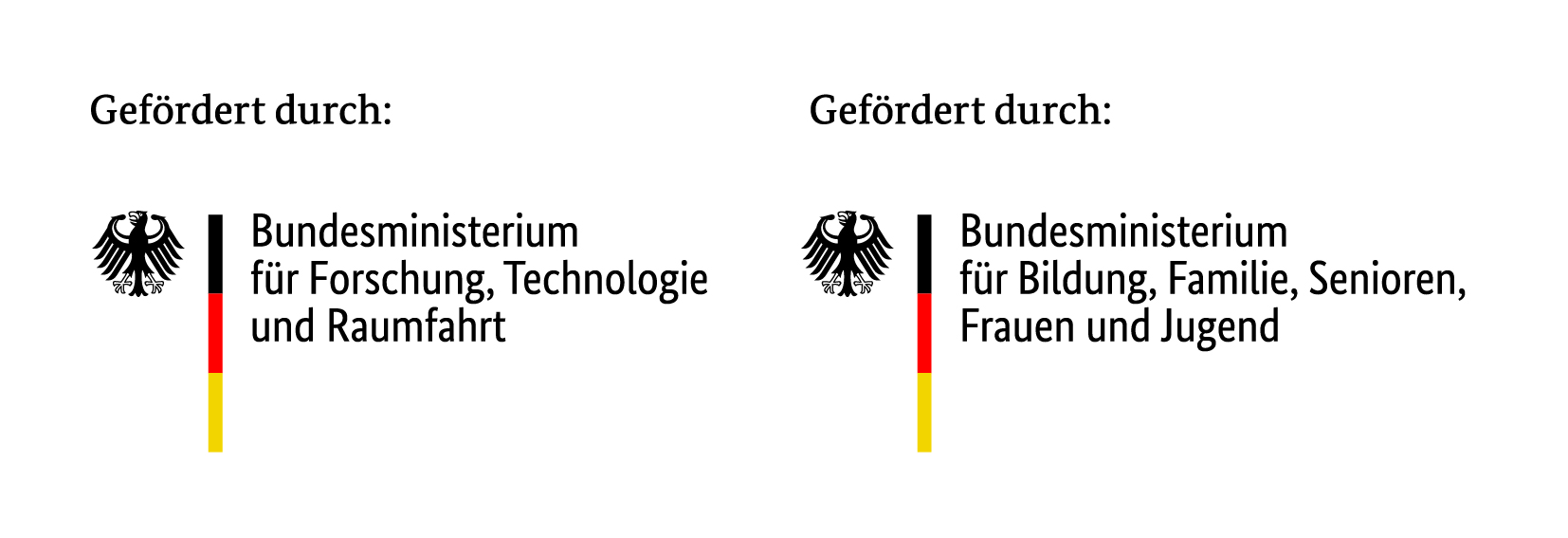 Logos Bundesministerium für Bildung, Familie Senioren, Frauen und Jugend (BMFSFJ) und Bundesministerium für Forschung, Technologie und Raumfahrt (BMFTR)